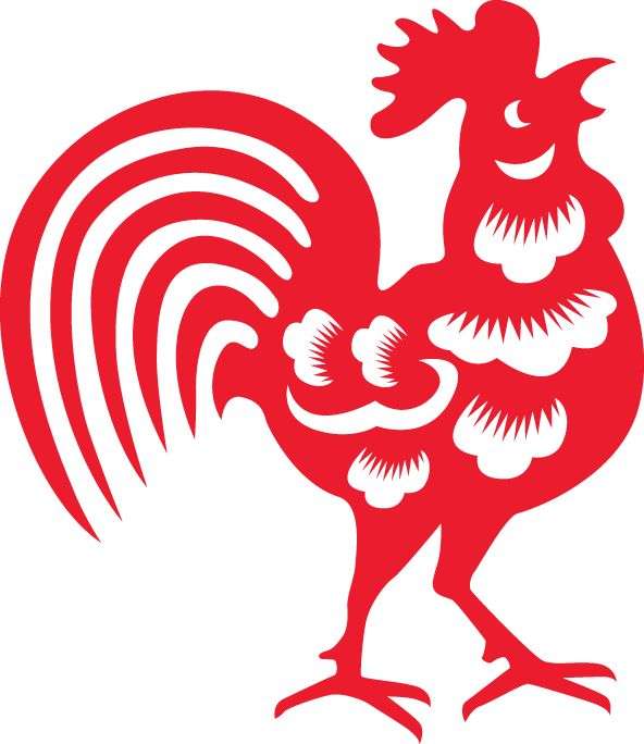 saillies du coq volumétrique