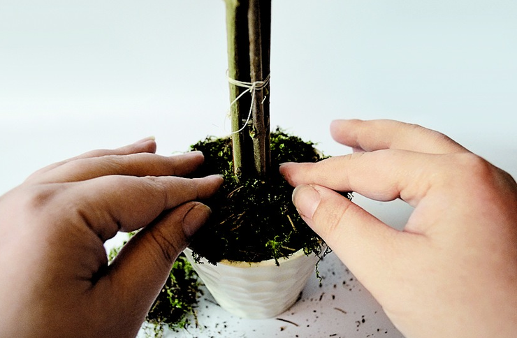 Sisal: cos'è e come lavorarci; laboratori artigianali di sisal